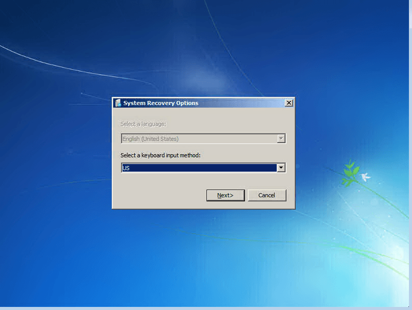 Microsoft Logo Stuck - Windows Server - 4